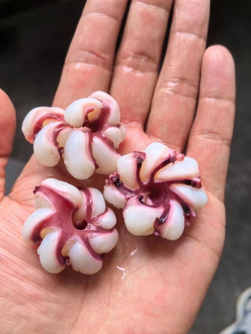 鱿鱼花花瓣鱿鱼捞汁涮火锅食材爆炒鱿鱼花海鲜批发