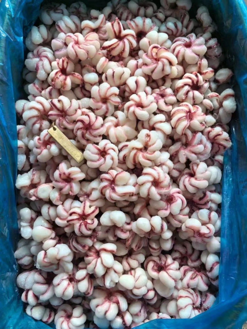 鱿鱼花花瓣鱿鱼捞汁涮火锅食材爆炒鱿鱼花海鲜批发