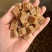 百草梨膏糖