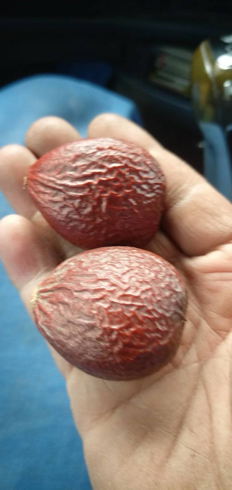 无硫干货