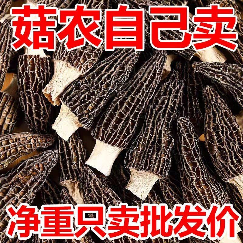 欢迎老板来咨询；羊肚菌全国批发.什么规格什么品质什么价位