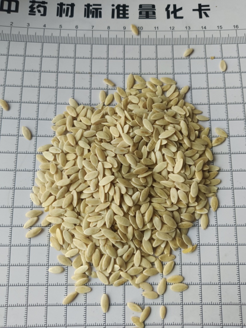 黄瓜子，黄瓜籽，新货无硫，实拍现货，24小时内发货