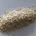 黄瓜子，黄瓜籽，新货无硫，实拍现货，24小时内发货