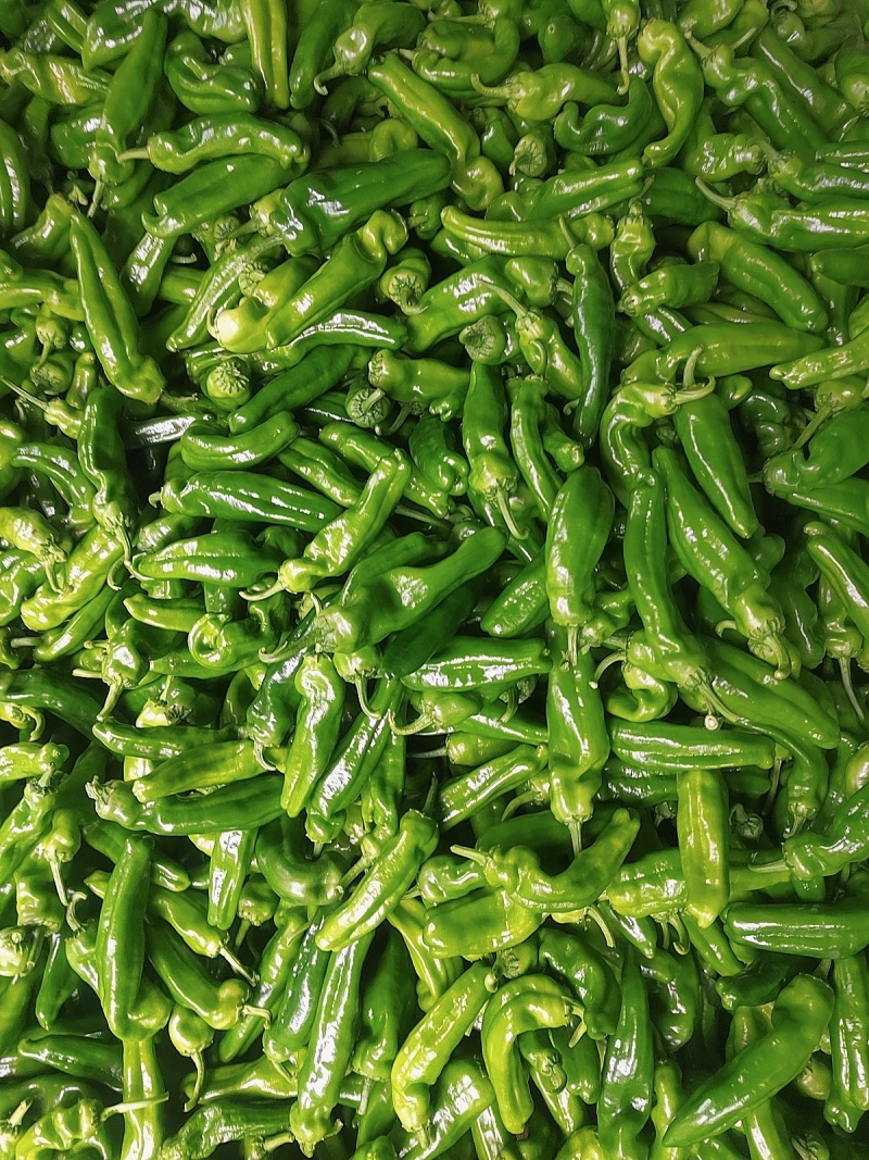 电商食堂青椒大量上市