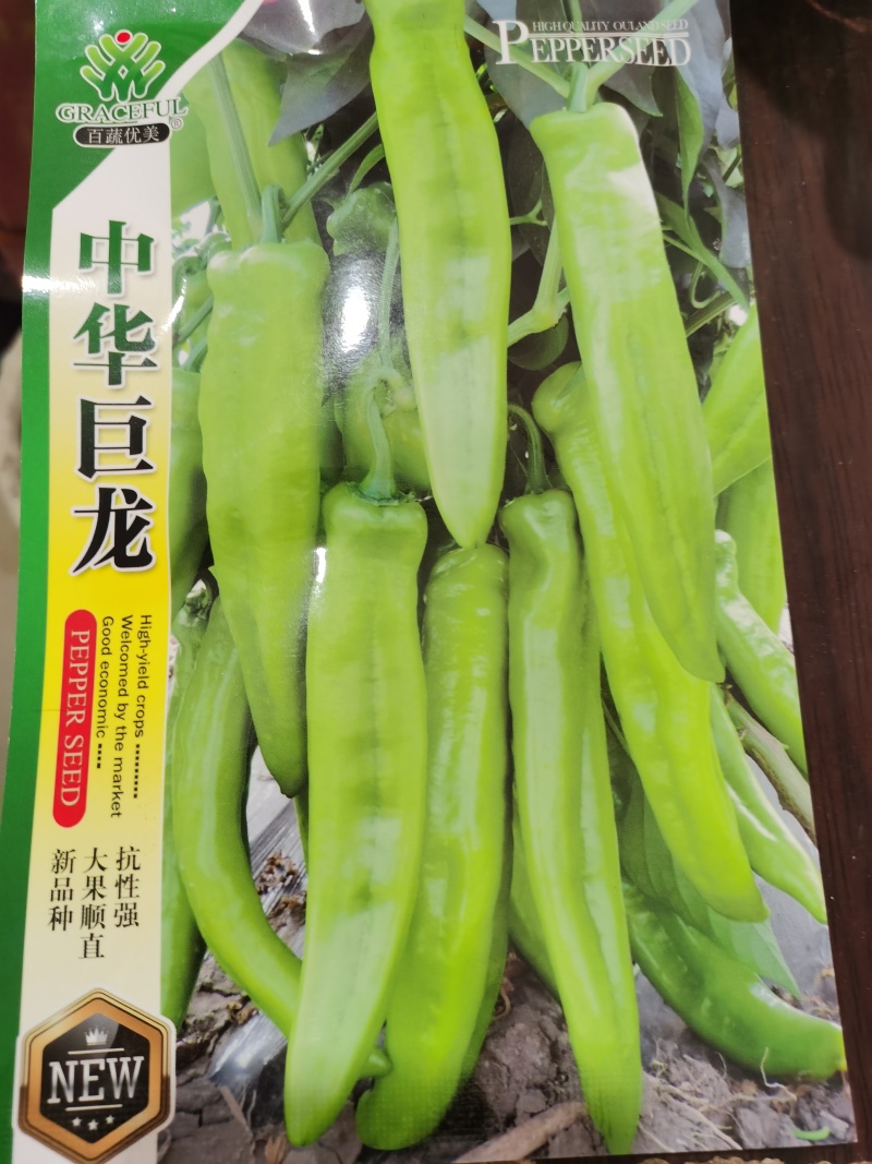 中华巨龙顺直大果抗病丰产杂交椒辣椒种子