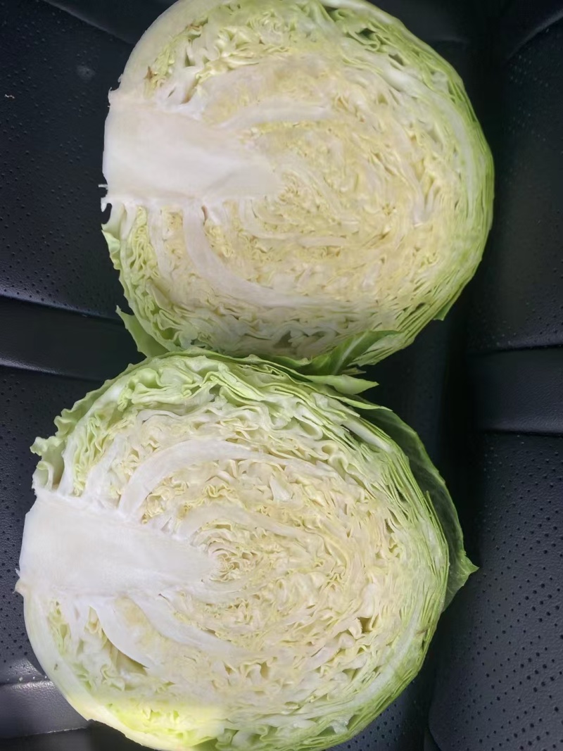 包菜