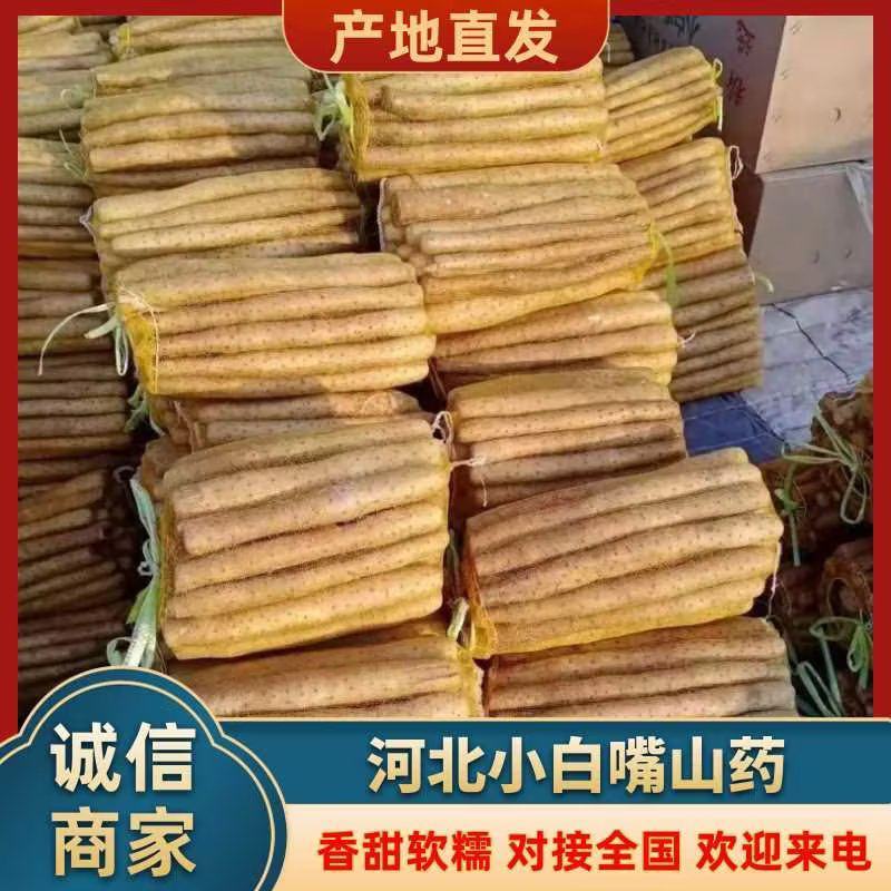 小白嘴山药箱货网袋散货包装按需提供价格实惠欢迎咨询