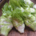 【实力】娃儿菜安徽儿菜货源稳定代收代发全国市场长期合作
