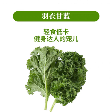 羽衣甘蓝