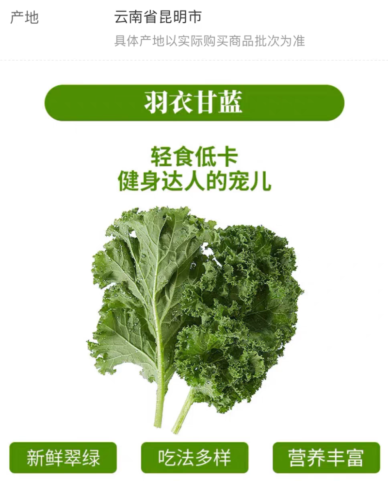 羽衣甘蓝
