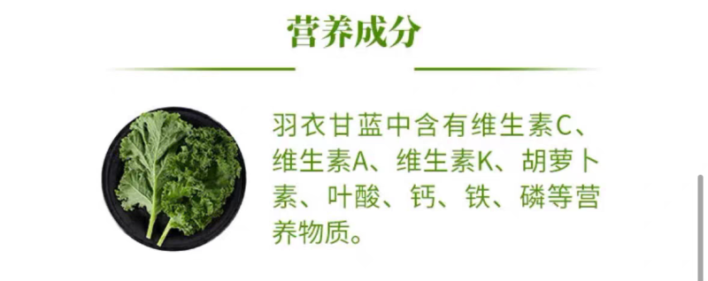 羽衣甘蓝