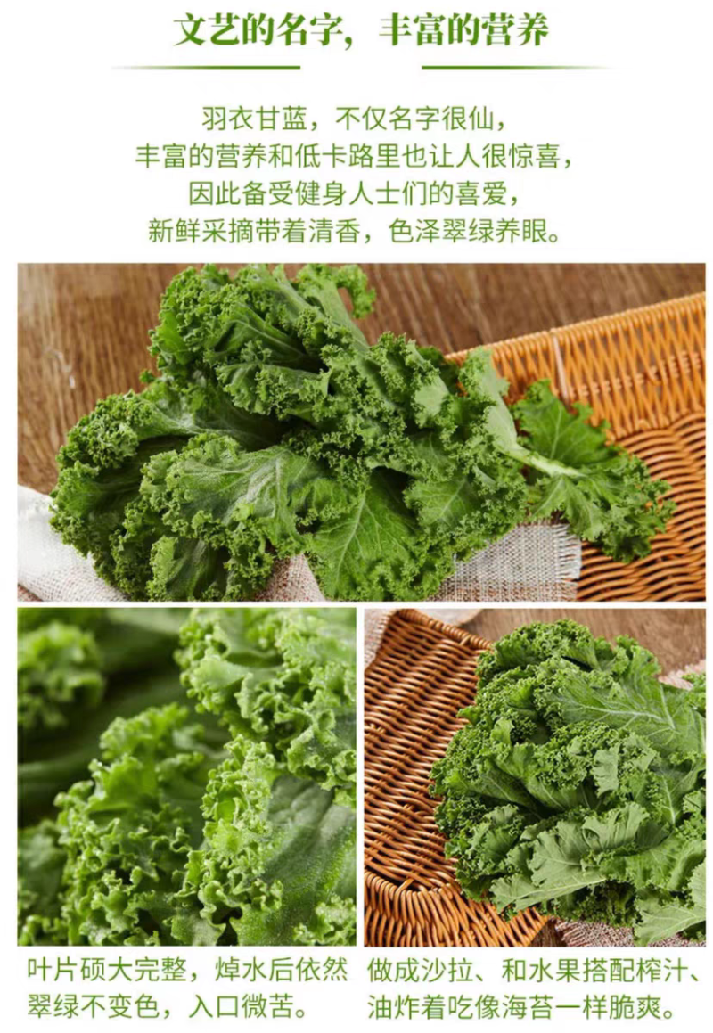 羽衣甘蓝