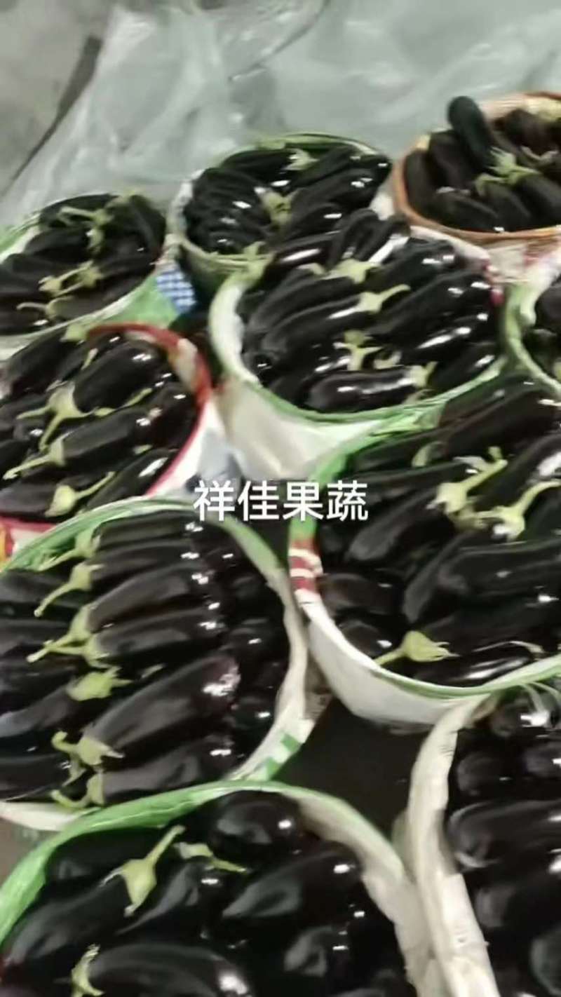 寿光长茄种类繁多富含维生素，“茄”行“茄”珍惜