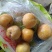 黄金李子