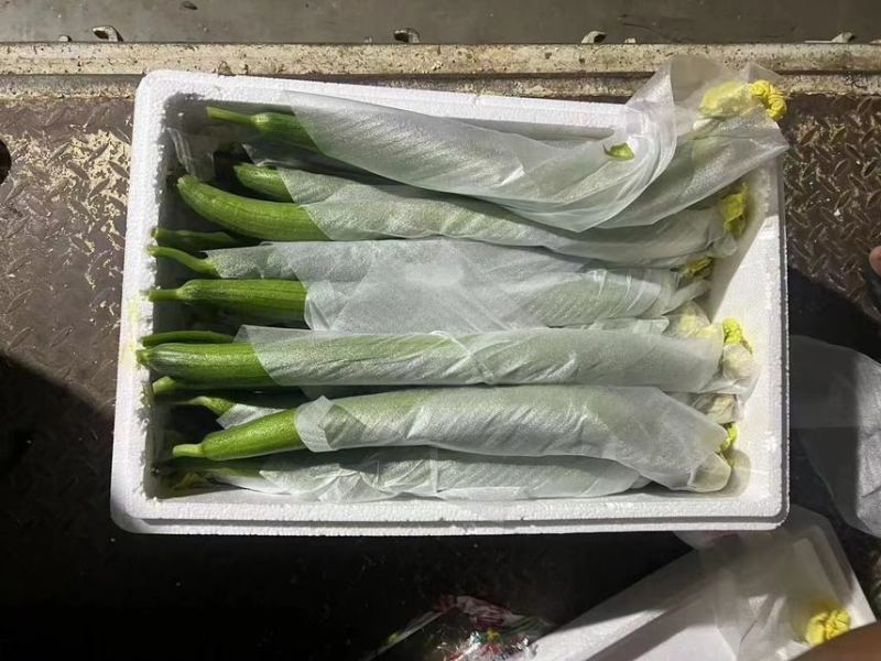 寿光鲜花丝瓜，原产地采购，新鲜采摘，欢迎选购！