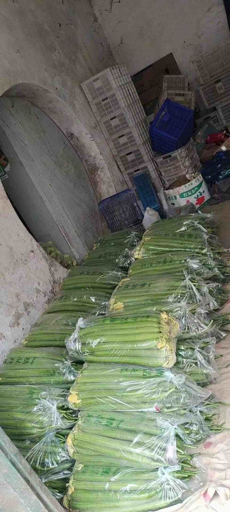 寿光鲜花丝瓜，原产地采购，新鲜采摘，欢迎选购！