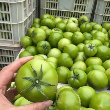 青西红柿