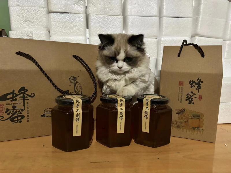 甘肃武山土蜂蜜自己基地蜂蜜可视频看货假一赔十