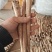 长期供应甘肃岷县黄芪正规货源厂家直销品质保证