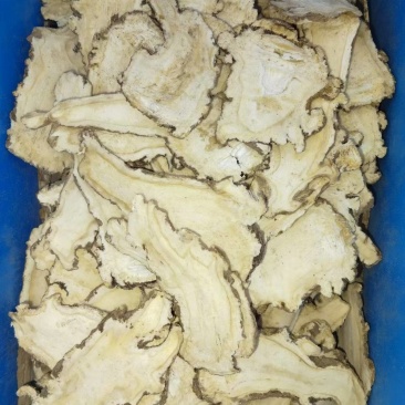 优质当归货源充足自产自销规格多样选择丰富