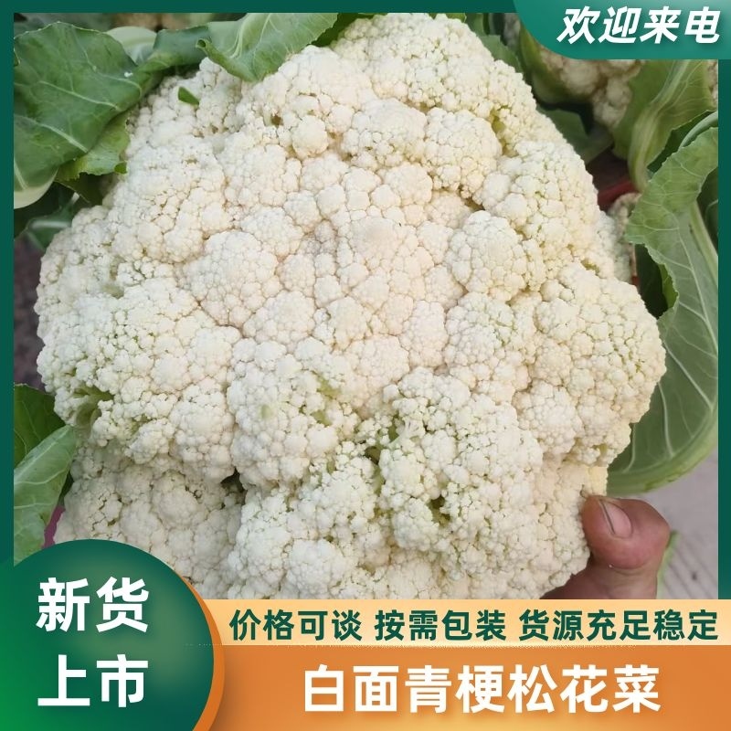 精品有机花菜，小米粒，产地直发，质量优，价格低。欢迎订购