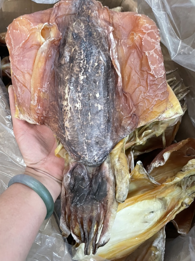 【推荐】穿竹墨鱼干淡盐干度足厂家直供新货出炉整箱批发