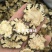 川芎四川川芎阴干片1000g起批关书药业