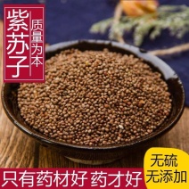 【包邮】苏子，紫苏子，东北产地，安国中药材批发市场直发！
