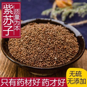 【包邮】苏子，紫苏子，东北产地，安国中药材批发市场直发！