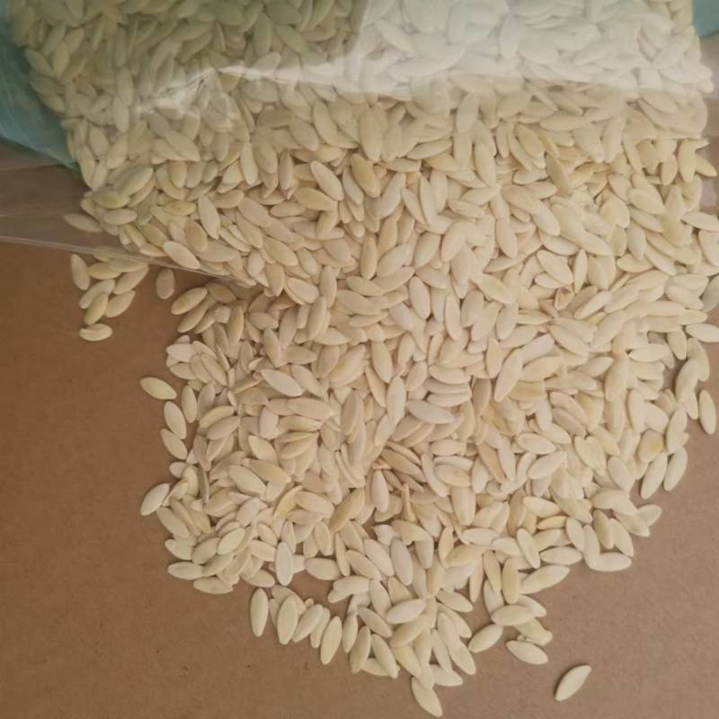 【包邮】中药材医用生黄瓜籽全国发货破损包赔量大从优