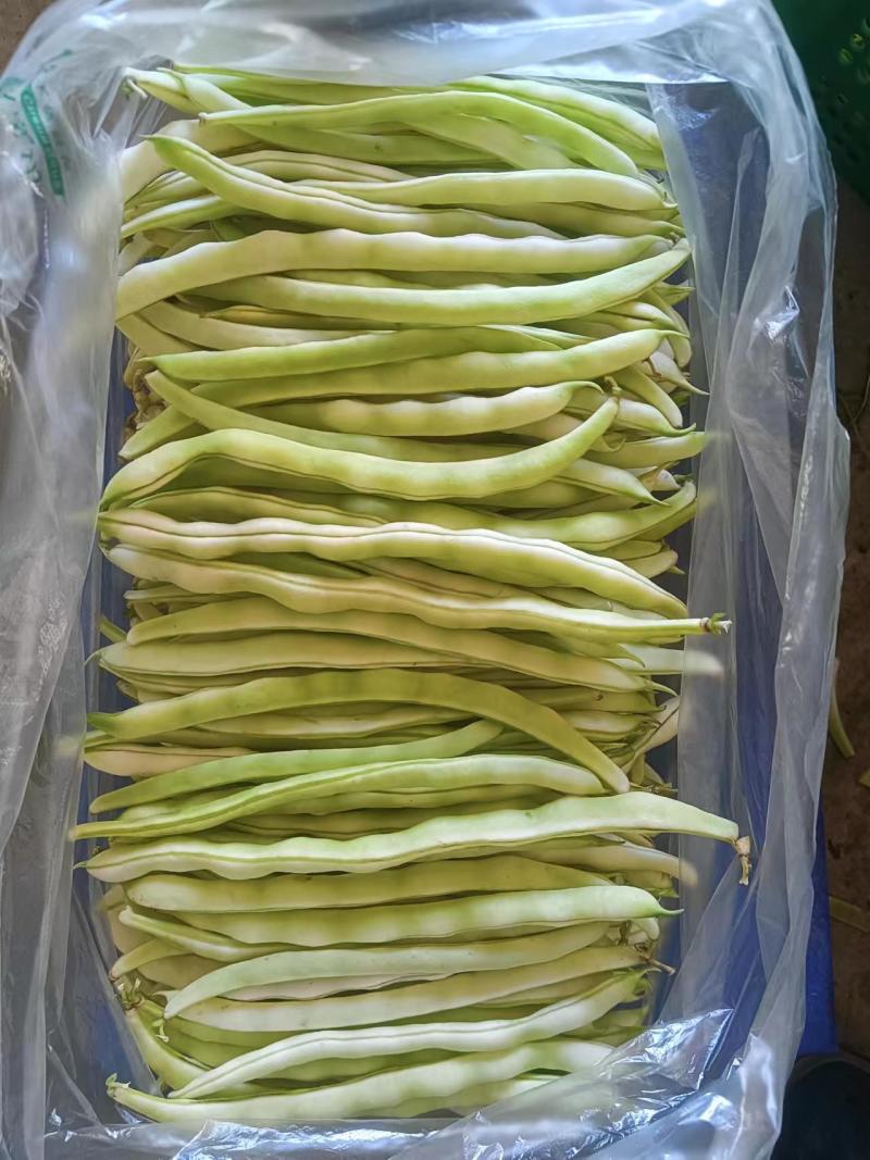 豆角
