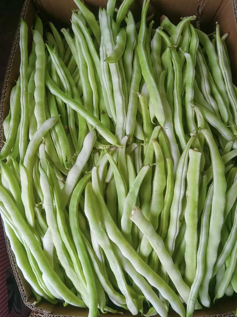 豆角