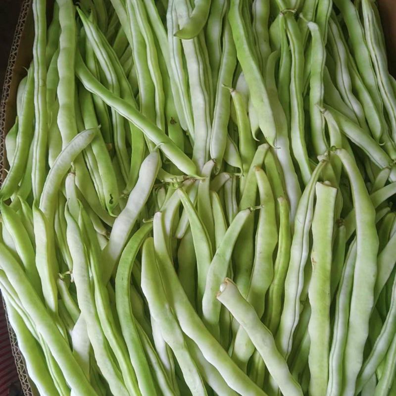 豆角