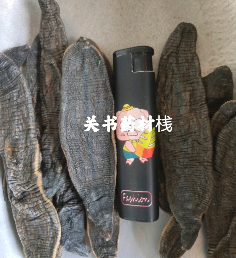 水蛭山东水蛭新货纹理清晰关书药业