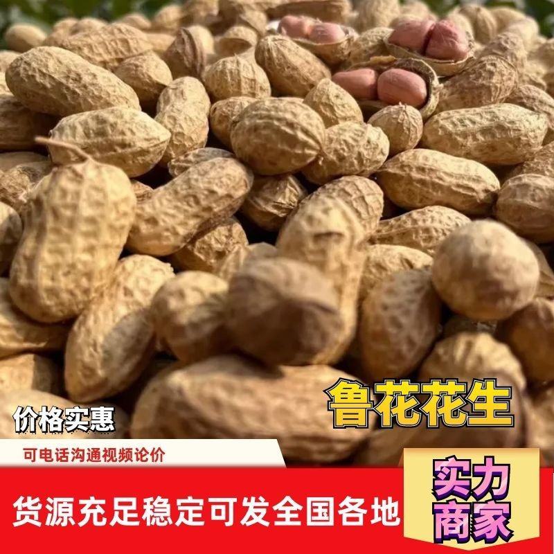 万亩鲁花花生，鲜花生带壳花生，保质保量可对接商超可视频