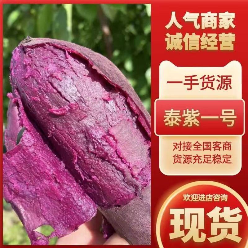 【实力供应】辽宁紫薯供应市场商超电商量大价优欢迎咨询