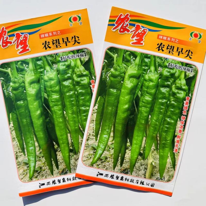 农望早尖辣椒种子早熟羊角椒辣椒种子皮薄辣味浓香青果绿色辣