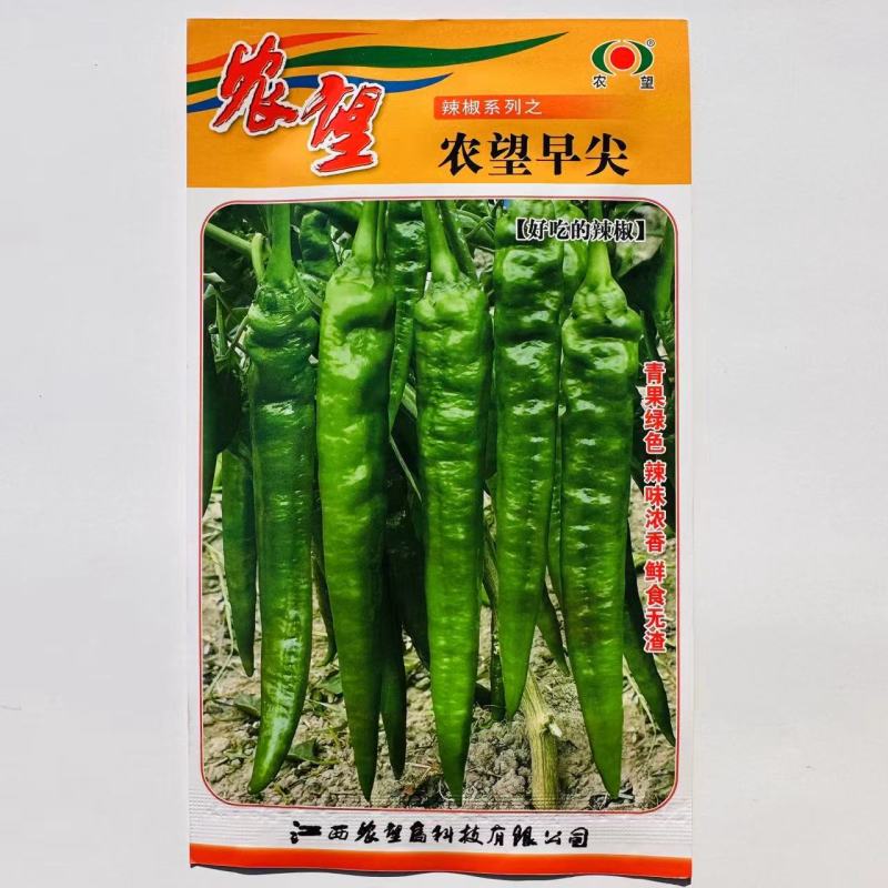 农望早尖辣椒种子早熟羊角椒辣椒种子皮薄辣味浓香青果绿色辣
