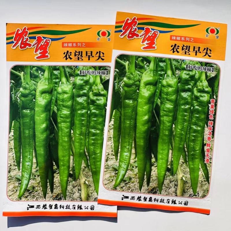 农望早尖辣椒种子早熟羊角椒辣椒种子皮薄辣味浓香青果绿色辣