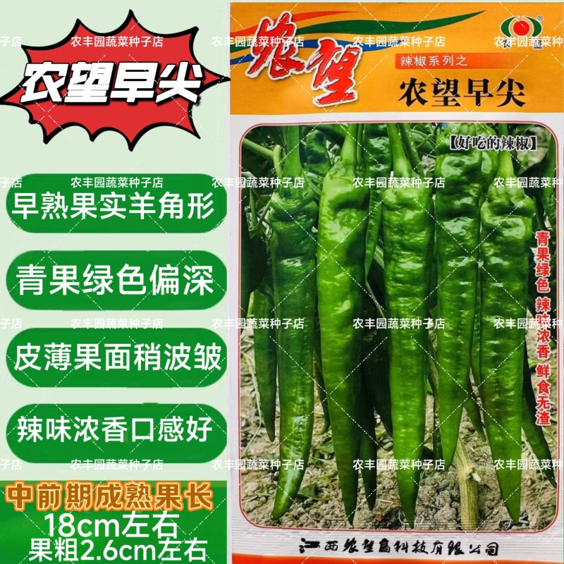 农望早尖辣椒种子早熟羊角椒辣椒种子皮薄辣味浓香青果绿色辣