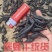 医蛭干品，含量高，药典标准，接受全面检验，规格全。