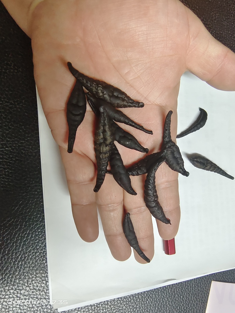 医蛭干品，含量高，药典标准，接受全面检验，规格全。