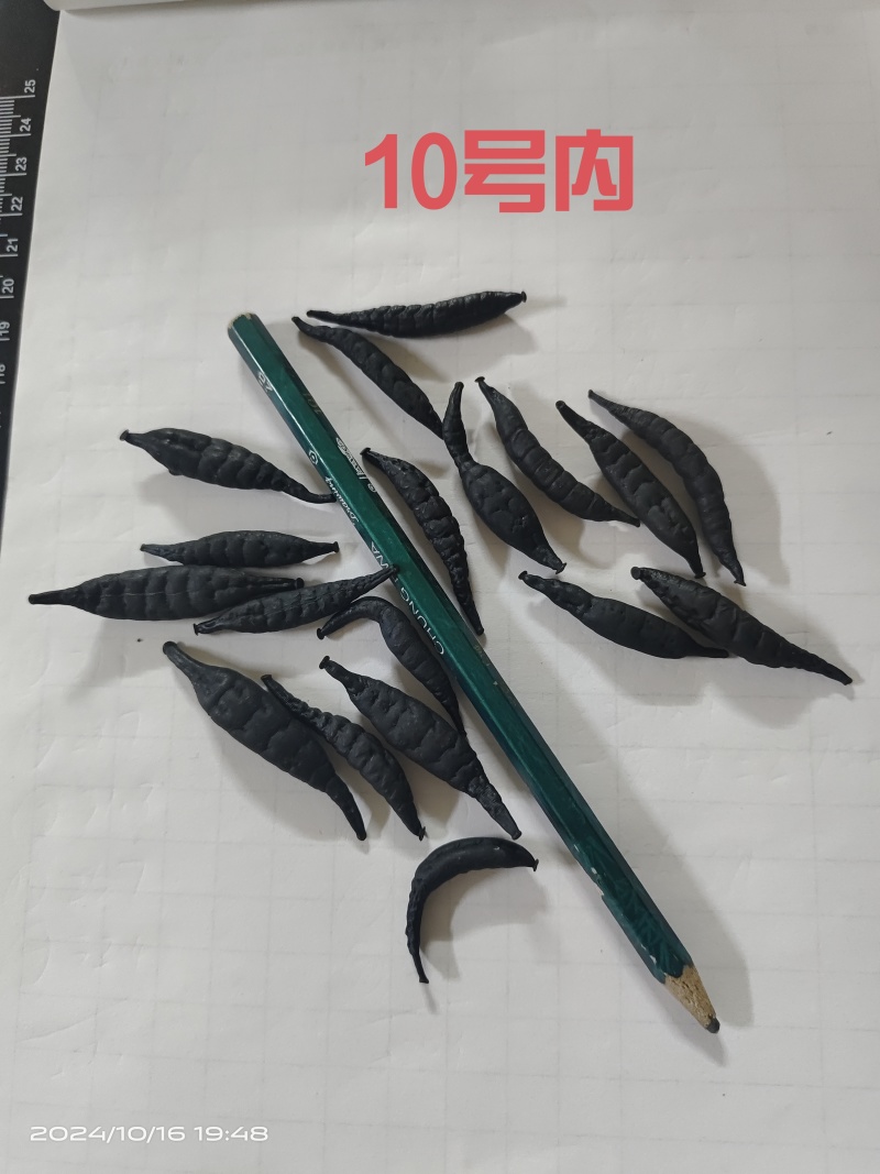 医蛭干品，含量高，药典标准，接受全面检验，规格全。