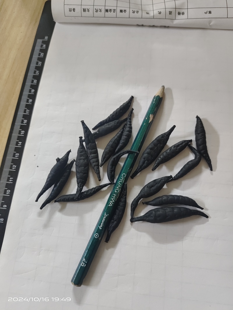 医蛭干品，含量高，药典标准，接受全面检验，规格全。