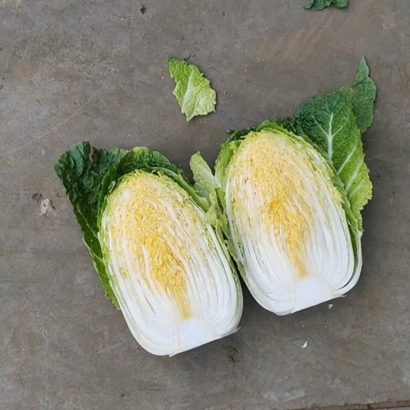 白菜