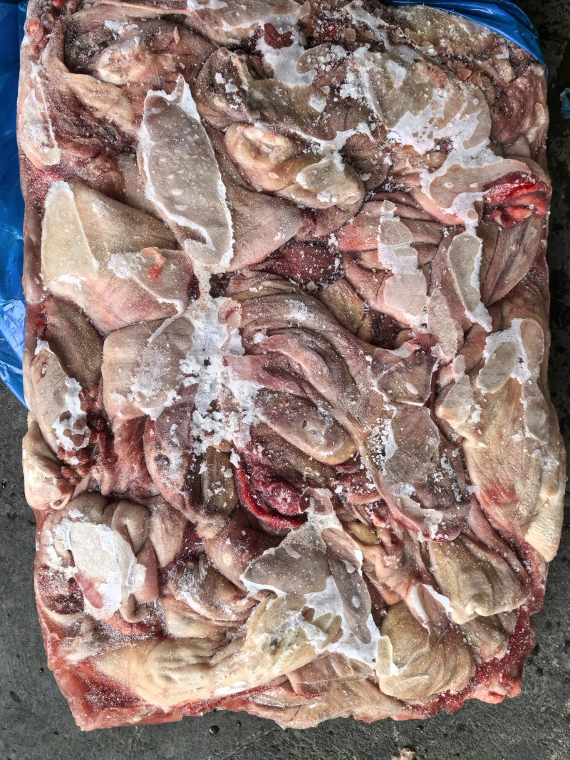 母猪纯干大花肠