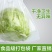 加厚白色红色塑料袋胶袋背心袋手提袋食品袋透明塑料袋打包袋