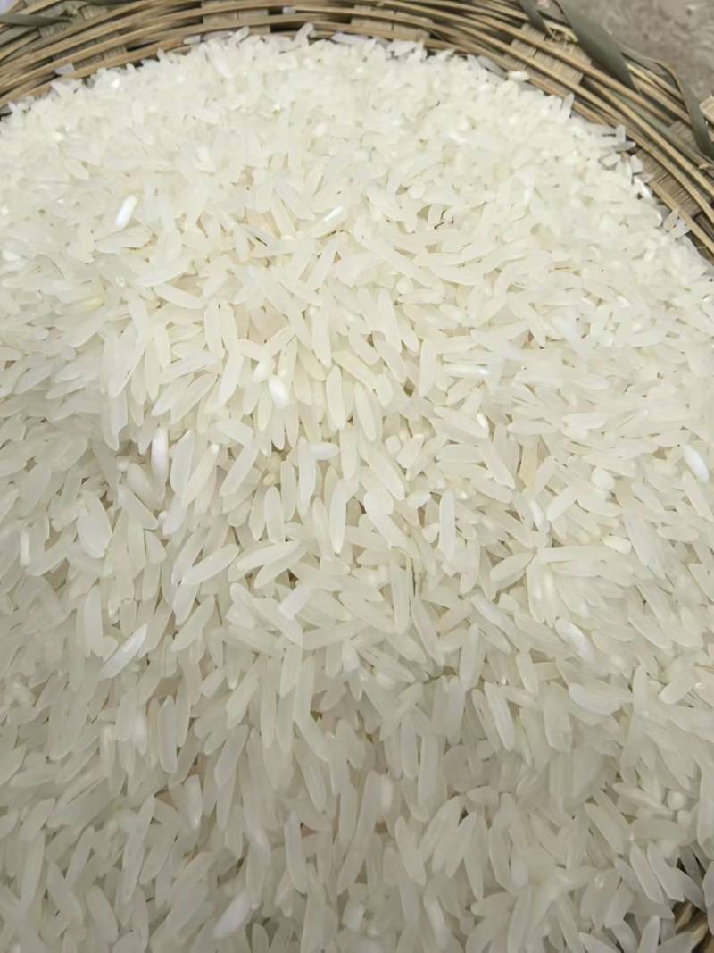 野香优莉丝新米