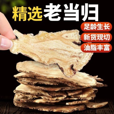 甘肃当归