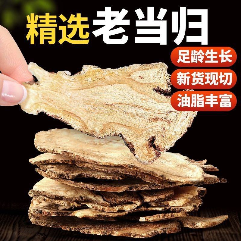 甘肃当归
